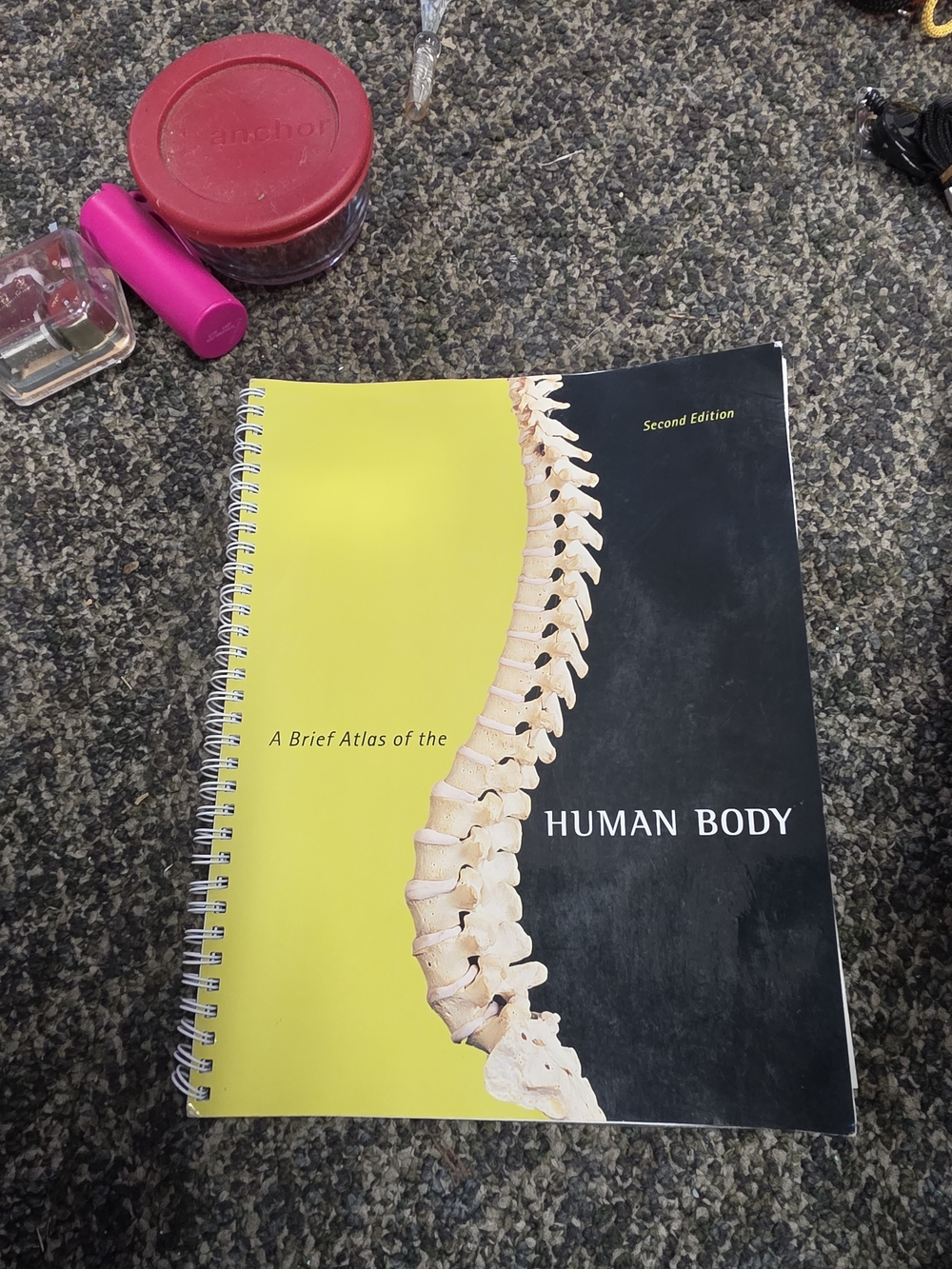 Human Body Spiral Notebook - Yellow & Black